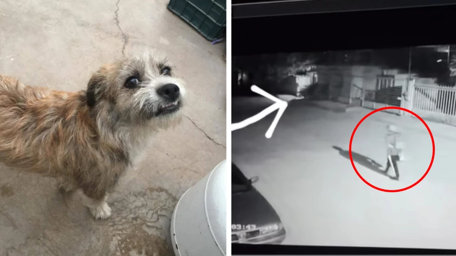 Benji Villa Juárez.jpg