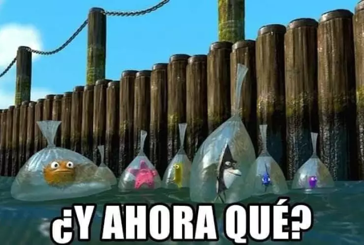 Andreina Andrade, la conductora que deja Hechos AM para unirse a Primera Línea