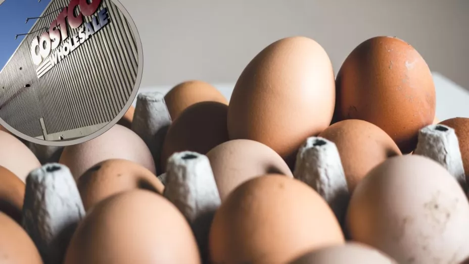 Alerta sanitaria por huevos de Costco en Estados Unidos ¿De qué están contaminados?