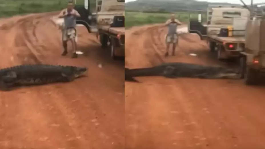 Hombre estuvo a punto de ser comido por un cocodrilo.jpg