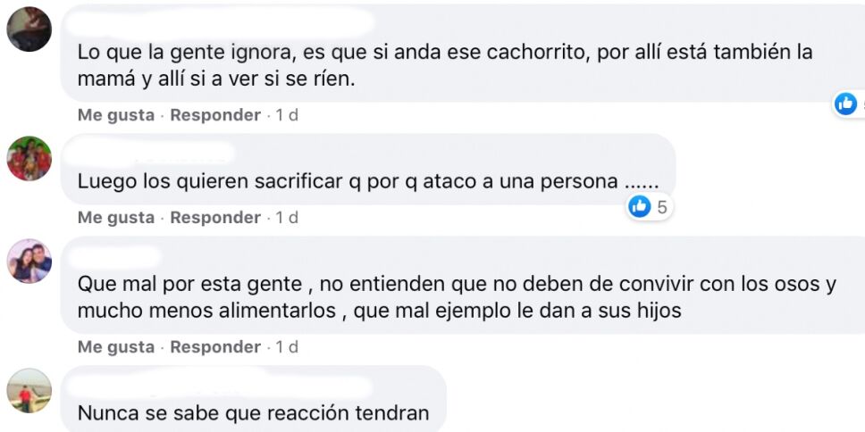 reacciones por la familia y el oso