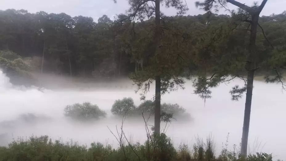 Emergencia por fuga de gas en localidad de Tlaxcala, hay evacuaciones masivas