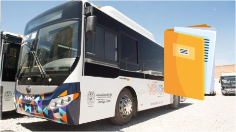 ¿Te falta alguno_ Estos son los documentos que necesitan adultos mayores y discapacitados para trami