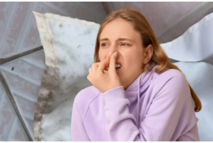 moho cortinas de ducha baño