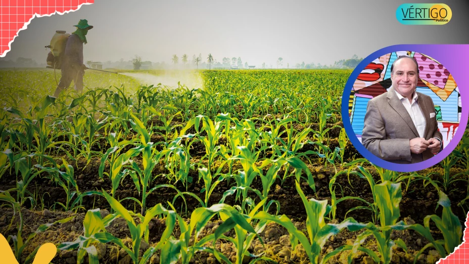 HAMBRE ECOLOGÍA POBREZA