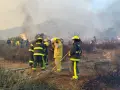 Al momento hay 1,645 personas evacuadas y 3 refugios activos. La mayor afectación se reporta en Ensenada (5,000 hectáreas) y Tecate (1,250 hectáreas).