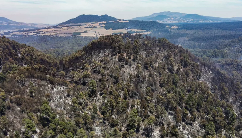 Extinguen por completo incendios forestales del Complejo Tepoztlán en Morelos