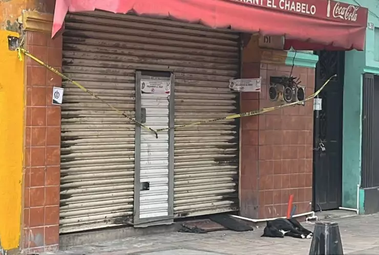 Hachiko culichi.jpeg