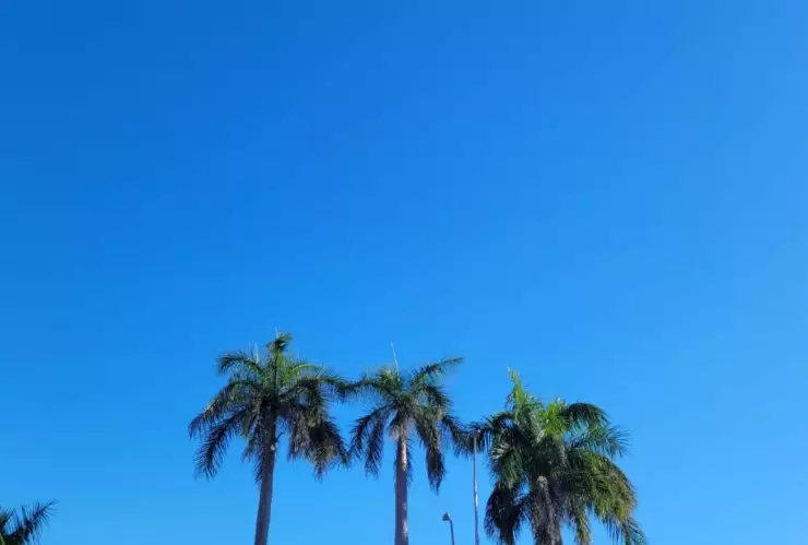 anticiclon martes 28 enero