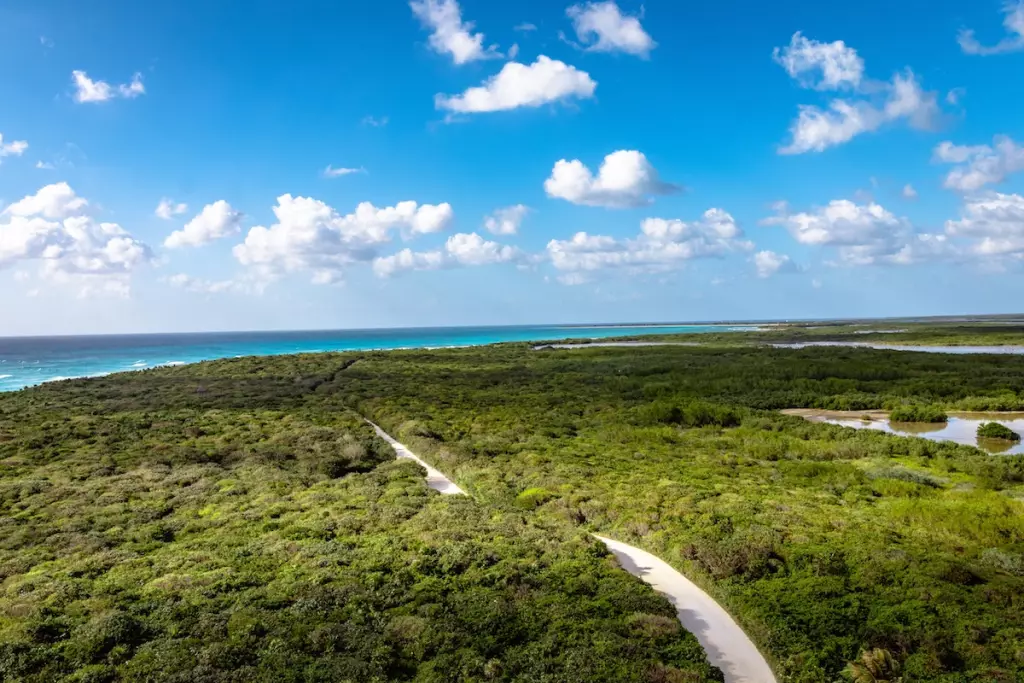cozumel-un-paraiso.jpg