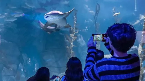 As&iacute; es el Acuario Michin en CDMX: precio, horarios y direcci&oacute;n