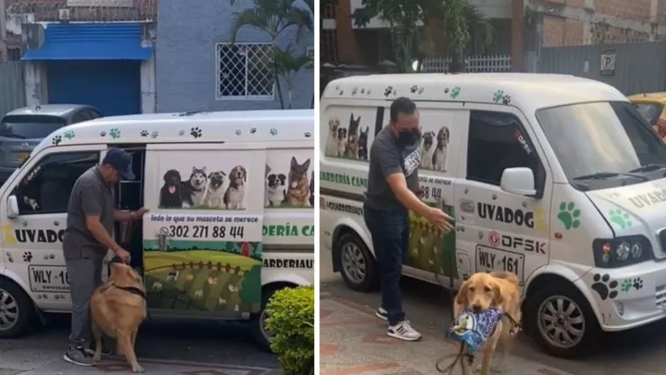 perrito regresa de guardería con su lonchera en el hocico.jpg