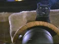 salem-saberhagen-sabrina-la-bruja-adolescente