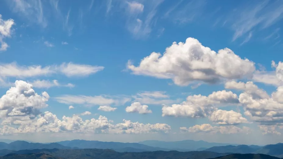 z - 2024-03-03T105203.471.jpg