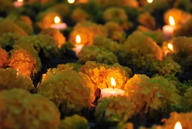 Flores Día de Muertos 