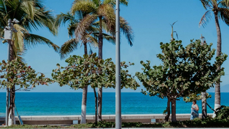 Siguen las altas temperaturas en Puerto Vallarta; así el clima hoy en Puerto Vallarta