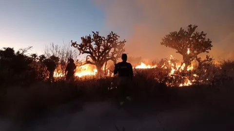 Incendios en Aguascalientes ¿Cuáles son los números oficiales para reportar un siniestro