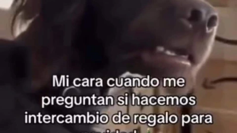memes navideños 4.jpg