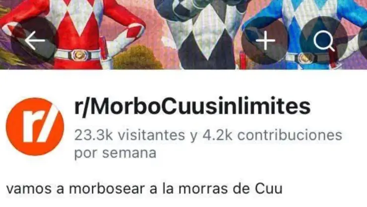 grupo en Reddit Chihuahua