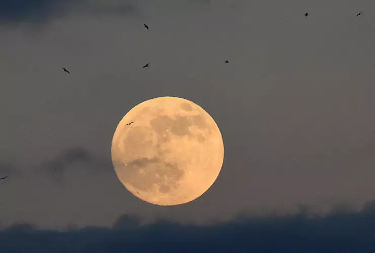 Dónde y cuándo ver la Luna Rosa en México
