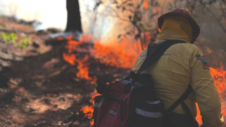 Brigadistas de Jalisco listos para combatir los incendios en California