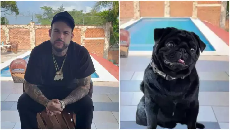 Emiliano Aguilar-perro pug Gordo
