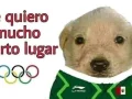 1. Memes Mexico Brasil .jpg