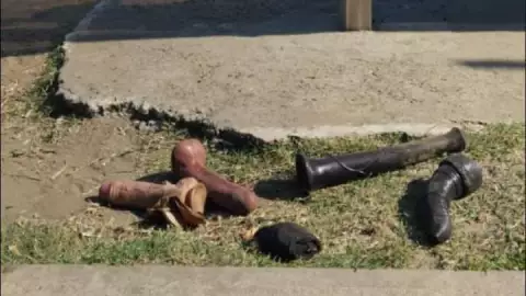 imagen dildos veracruz origen