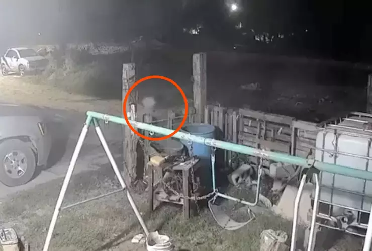 VIDEO Captan a un supuesto nahual en medio en el patio de una casa en Veracruz