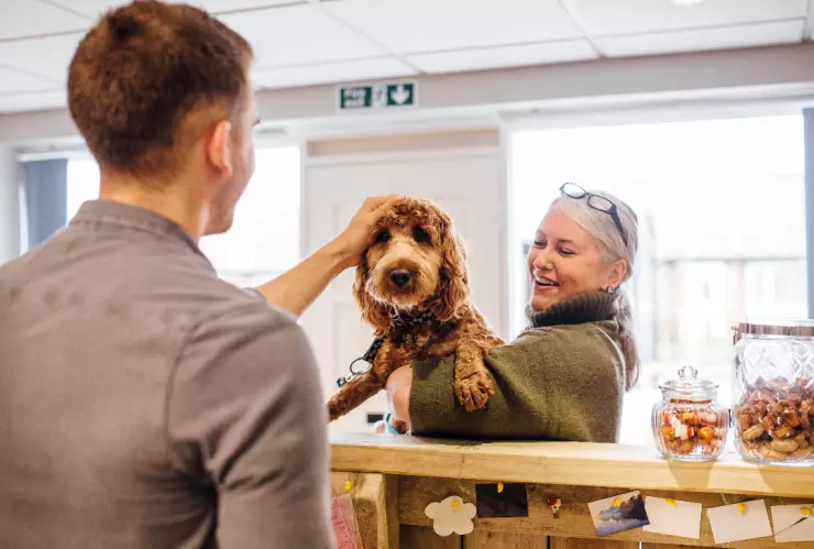 pensión mascota profeco