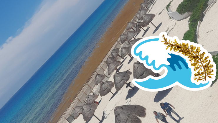 Playas libres de sargazo en Quintana Roo HOY 19 de agosto de 2025_ Lista desde Holbox, Cancún y hasta Tulum.jpg