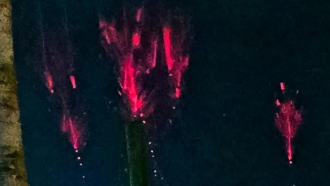 cómo-ser-voluntario-nasa-duendes-rojos-cielo-fenómenos-luminosos-transitorios-portada