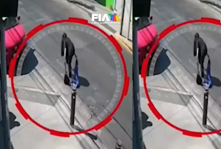 VIDEO | Mujer se lanza de un auto en movimiento tras recibir un disparo por su expareja en Zapopan