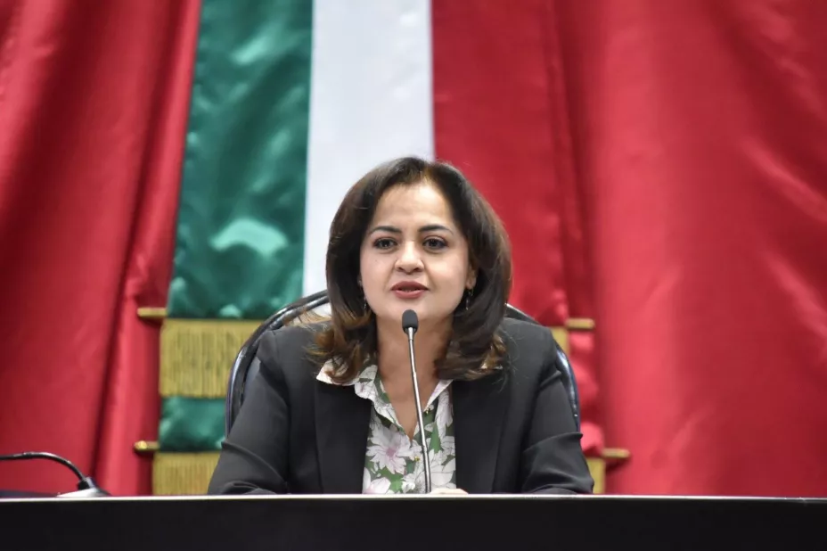 Libros de texto diputada PRI.jpg