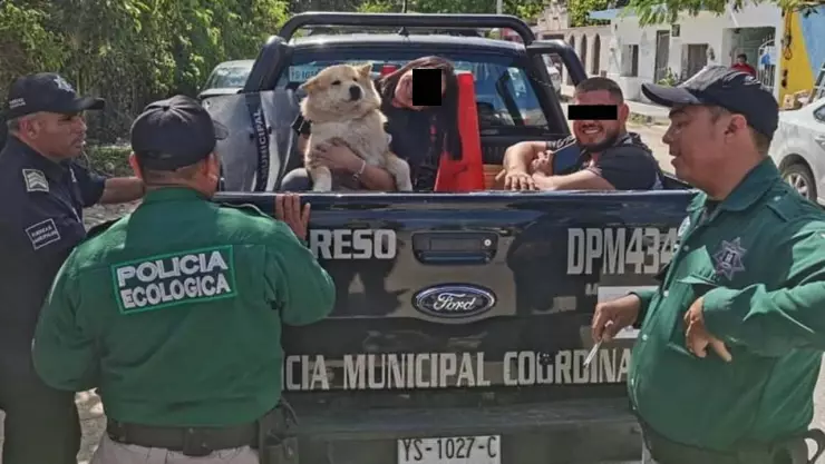 perrita detenida