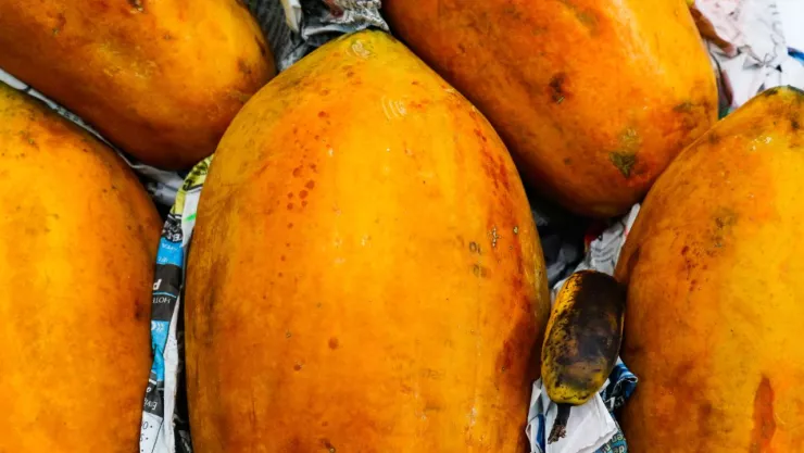 Papaya en México