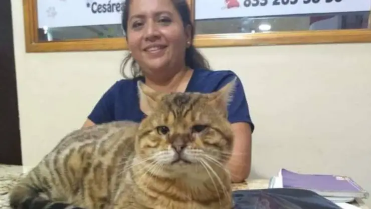 gato leopardo tampico .jpg