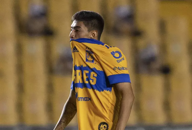 TIGRES.png