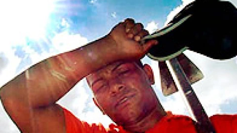 Ola de calor
