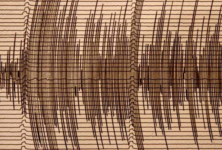 Registro del movimiento sísmico