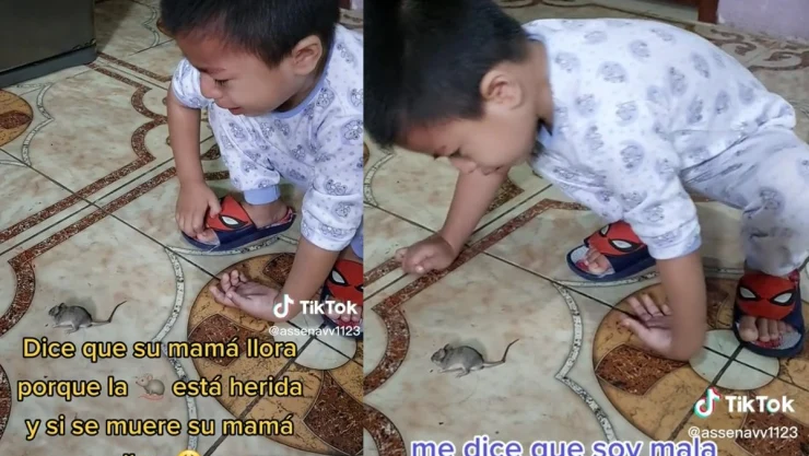 Niño llora por ratón.