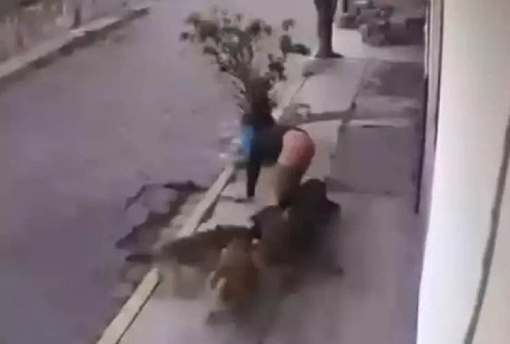 Video_ Jauría de perros atacan a dos jóvenes, uno queda lesionado.jpg
