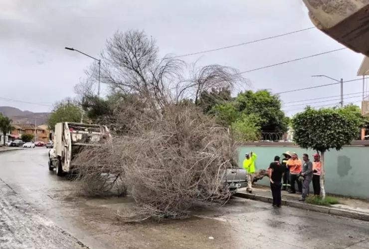 ¿Cómo quedó Tijuana tras las lluvias Aquí el saldo de la tormenta.