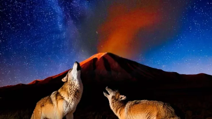 Extraños aullidos en el volcán Popocatépetl