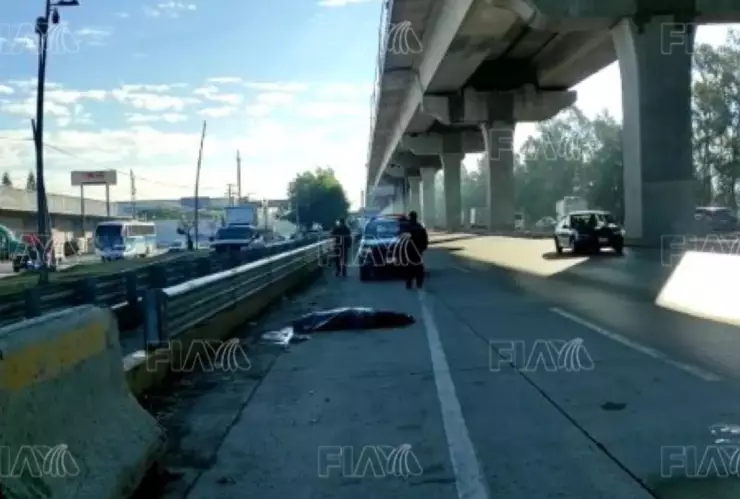 atropellado muerto autopista méxico - puebla