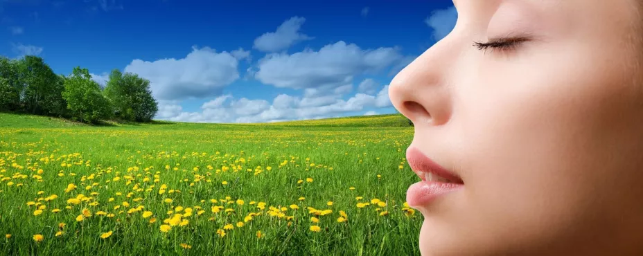 unnamed - 2024-04-09T111751.970.jpg