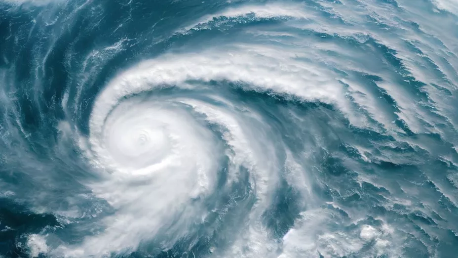 WhatsApp Image 2026-03-31 at 12..jpg