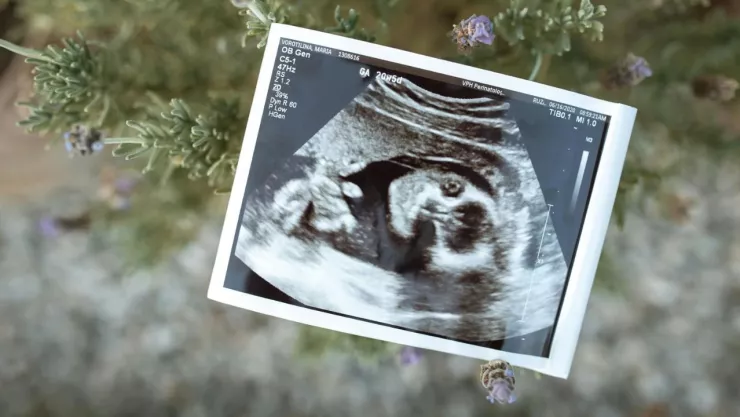 Así encontraron un feto abandonado en el baño de un hospital en San Luis Potosí