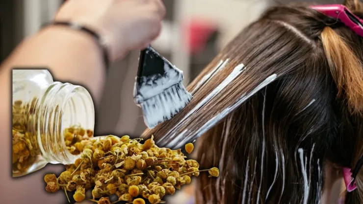 Los expertos coinciden: esto es lo que pasa si usas manzanilla en exceso en el cabello