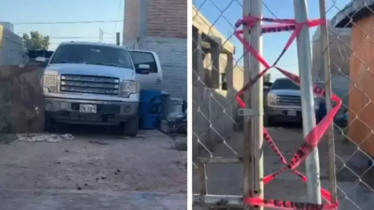 118 perros camioneta chihuahua